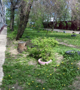 Месячник по благоустройству
