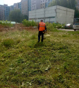 В период с 29 августа по 02 сентября выполнен покос травы