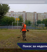 В период с 12 по 16 сентября выполнен покос