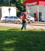 В период с 11 по 15 июля покос травы